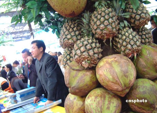 China's home-grown durian crop ready to enter market