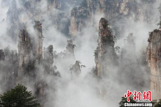 图片版权归原作者所有 图片版权归原作者所有
