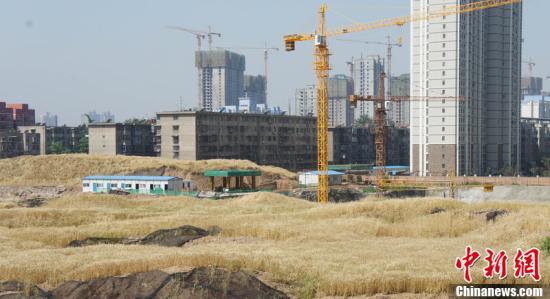 中国首部土地督察发展规划出台
