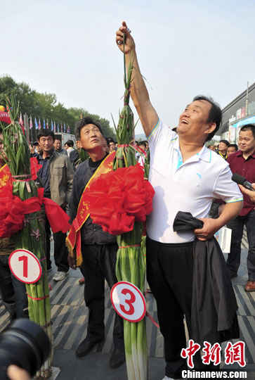 资料图:章丘大葱。<a target='_blank' href='http://www.chinanews.com/'>中新社</a>发 张勇 摄 资料图:章丘大葱。<a target='_blank' href='http://www.chinanews.com/'>中新社</a>发 张勇 摄