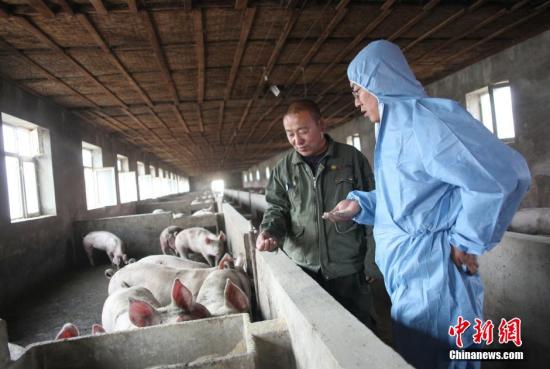 农业农村部：饲喂餐厨剩余物是非洲猪瘟原因之一