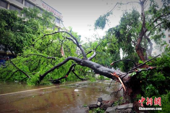 超强台风威马逊致广东全省超43万人受灾