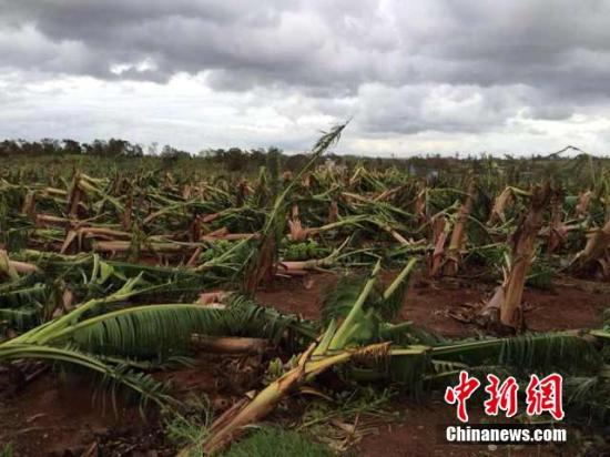 台风“威马逊”在越南肆虐引发泥石流 27人死亡 
