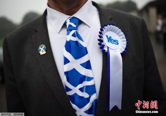 当地时间9月18日，苏格兰公投日开始进行投票，一名男子特意佩戴了苏格兰圣安德烈十字旗图案的领带。