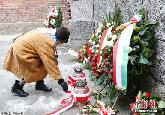 当地时间2015年1月27日，波兰奥斯维辛，波兰总统科莫罗夫与幸存者向奥斯威辛集中营死亡之墙敬献花圈。1月27日是波兰奥斯威辛集中营解放70周年纪念日，波兰举行隆重的纪念活动，300多名幸存者、数十名国家与政府首脑以及宗教领袖将参加27日在波兰举行的纪念仪式。