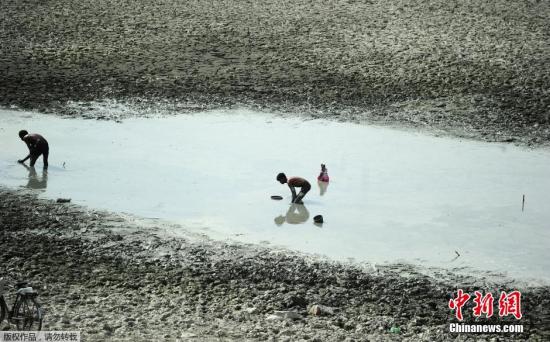 印度酷热致近1700人死亡 创下20年来最高纪录