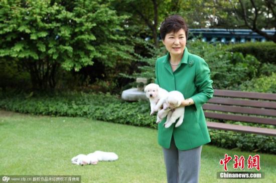 韩国总统朴槿惠下周放暑假 “宅”家静休看公文 