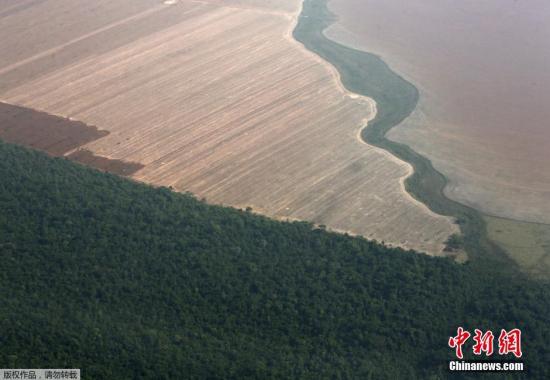 当地时间2015年10月2日，巴西马托格罗索，亚马逊热带雨林被已经开垦准备种植黄豆的耕地地带包围着。