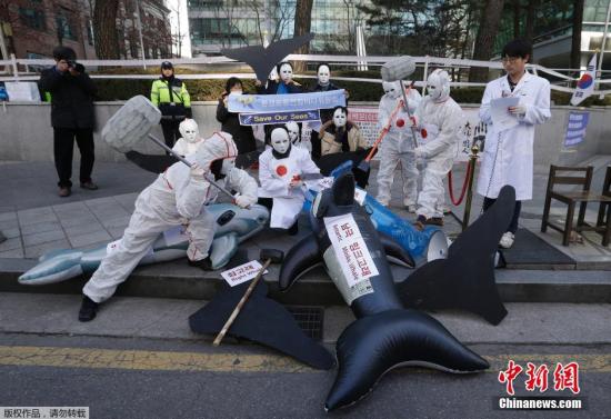当地时间12月7日，环境保护团体成员聚集在日本驻韩国大使馆前，抗议日本在南极地区捕鲸。