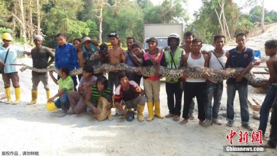 �������������죬�������˺������Ա��һ���������ظ������־�����