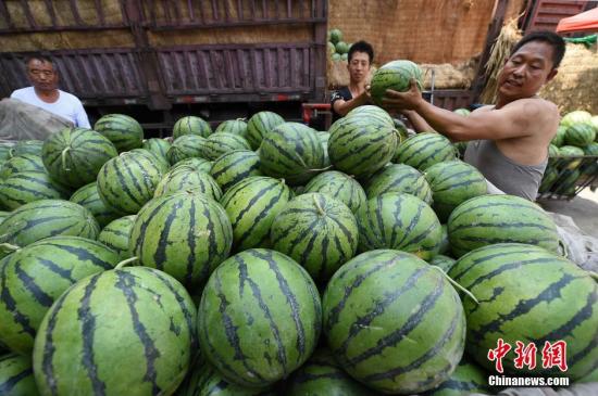 To select the best watermelon in summer, AI could be of great help