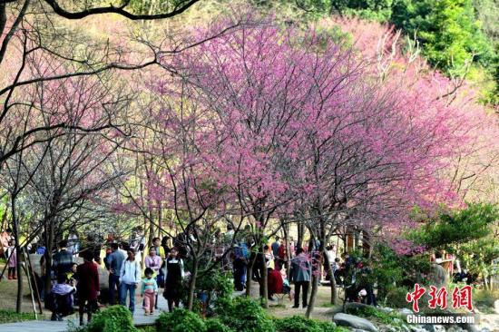 草地简笔画_中国人均草地面积(2)