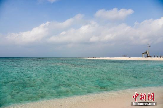 中国科研团队守护南海珊瑚礁20年 只为重建海洋天堂