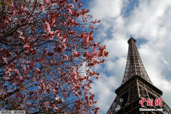 资料图：法国巴黎，埃菲尔铁塔下花朵盛开，美不胜收。