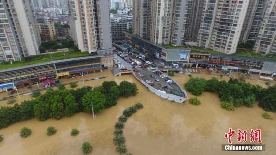 7月3日，因受连日暴雨影响，广西柳江河柳州段出现超警戒水位。 王以照 摄