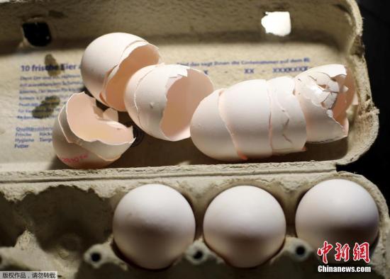 欧洲鸡蛋污染丑闻愈演愈烈 英法紧急调查