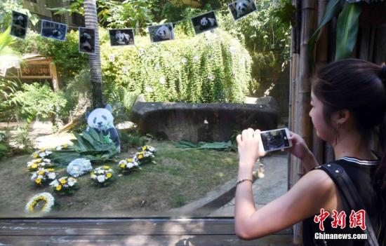 资料图：一名女青年在巴斯故居前用手机拍照留念。 刘可耕 摄