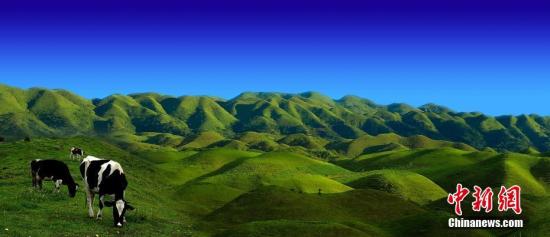 This file photo shows the grassland in the Hunan Nanshan National Park, located in Shaoyang City, central China's Hunan Province. (Photo/China News Service)