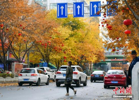 10月17日，已是深秋季节的新疆乌鲁木齐市，街道两旁的树木早已金黄一片，树叶随着微风缓缓飘落，浓浓的秋意甚是醉人。 中新社记者 刘新 摄