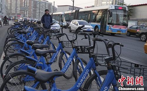 11月16日，北京街头的“小蓝单车”。
<a target='_blank' href='http://www.chinanews.com/'>中新社</a>记者 贾天勇 摄