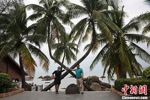 资料图：游客在海南三亚天涯海角游览区内的情侣树前合影。 _#1#_记者 尹海明 摄