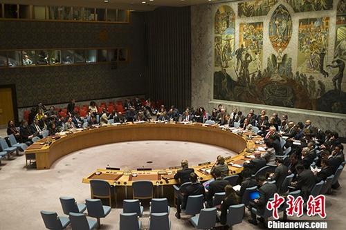 当地时间1月5日，在美国的要求下，联合国安理会举行会议讨论伊朗局势。
<a target='_blank' href='http://www.chinanews.com/'>中新社</a>记者 廖攀 摄