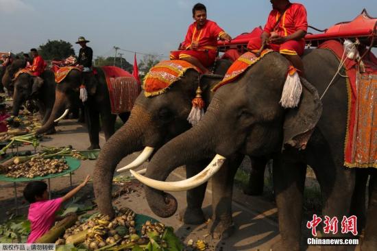 资料图：泰国举办“大象日”庆祝活动。