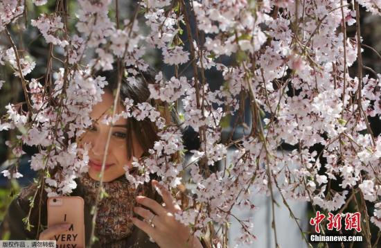 ͼΪһ��Ů���ڶ��������µ�ӣ���������ա�