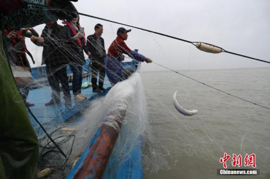长江已到“无鱼”等级 全面禁渔迫在眉睫