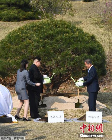 当地时间4月27日，金正恩与文在寅在板门店军事分界线附近共同种下一棵65年树龄的松树，这是一棵停战协定签署那一年——1953年的松树，种树的土分别来自朝鲜和韩国。随后，金正恩用韩国汉江的水浇树，而文在寅则用来自朝鲜大同江的水浇灌树木。韩朝双方领导人还在植树活动现场合影留念。手，实现初次会面。
