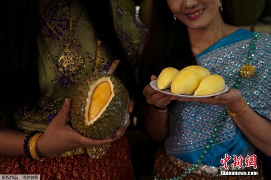 因为榴莲较贵，大家都不能敞开肚皮吃个痛快，所以泰国的水果自助就成了爱吃榴莲“铁粉”的首选。