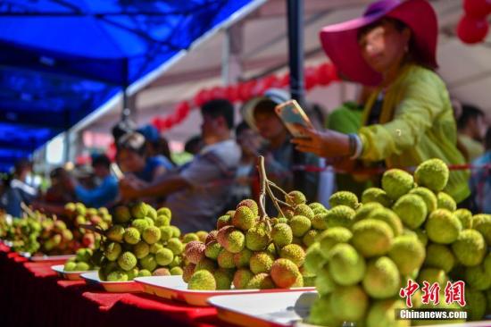 Warm winter pushes down this year's litchi output, leading to a price hike