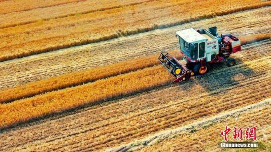 农业农村部：上半年农产品市场运行保持基本平稳