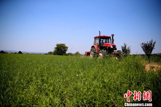 中国气象局：厄尔尼诺或对地区农业生产产生一定影响