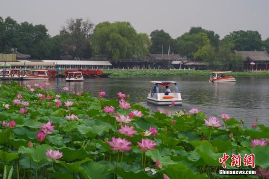 Tourists enjoy themselves in Beijing Shichahai Park, July 4, 2018. (Photo/China News Service)