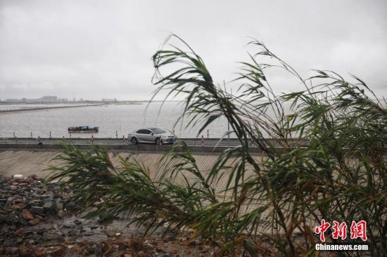 江苏部分地区农作物倒伏电力设施受损 启东雨最大