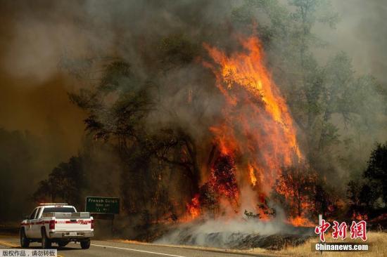 当地时间2018年7月27日，美国加州雷丁市，加州森林大火持续肆虐。据报道，此次森林火灾过火面积已达17900公顷，2名消防员在救火行动中不幸牺牲。