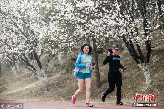 资料图：北京民众在奥森公园跑步健身。 图片来源：视觉中国