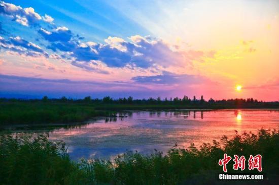 近日，位于新疆玛纳斯县的湿地公园在夕阳下像一个缤纷的梦幻之地，这里芦苇荡漾、鸟儿雀跃、湿地辽阔、池塘众多，一片江南水乡的景色。此地还是白鹭、野鸭的天然保护所，也为当地民众发展旅游经济提供了有利资源。每当夕阳西下，三五成群的游客就会到湿地，与大自然亲密接触，人景合一的画面震撼中充满温暖。袁彬峰 摄