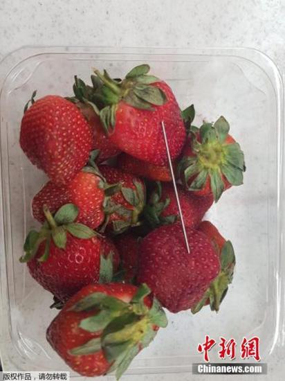 资料图：2018年，澳大利亚六家超市发生多起草莓遭人恶意插针事件，昆士兰州政府提供10万澳元（约合49万人民币）奖金，希望获得嫌犯相关信息并绳之以法。图为昆士兰州格拉斯顿的一家超市内的草莓商品内，被人恶意放入一根钢针。 文字来源：观察者网
