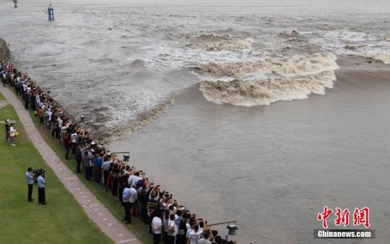 游客正在观看钱塘江大潮。王刚 摄