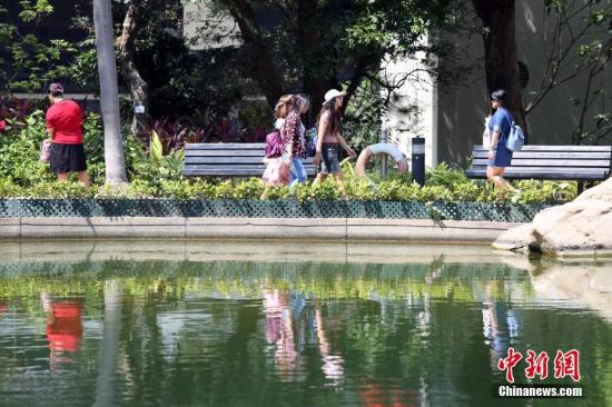 资料图：香港的公园。<a target='_blank' href='http://www.chinanews.com/'>中新社</a>记者 洪少葵 摄