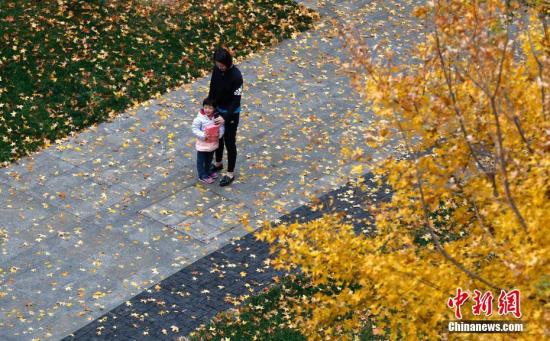 资料图：北京行人从落满树叶的小路经过。 中新社记者 刘关关 摄