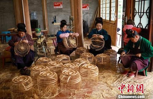 妇女学习鸟笼编织技艺(资料图)。中新社发 黄晓海 摄 妇女学习鸟笼编织技艺(资料图)。中新社发 黄晓海 摄