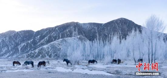 新疆内蒙古气温下降 中国中东部地区将有明显降水
