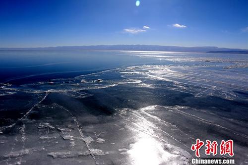 青海湖“水陆空”多个指示性物种递增