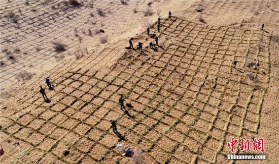 The sand-control project in Linze, NW China's Gansu Province. (File photo/China News Service)