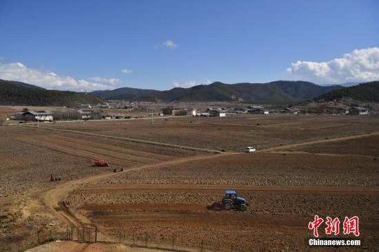 “木头经济”变“生态经济” 云南藏区踏上绿色发展新径