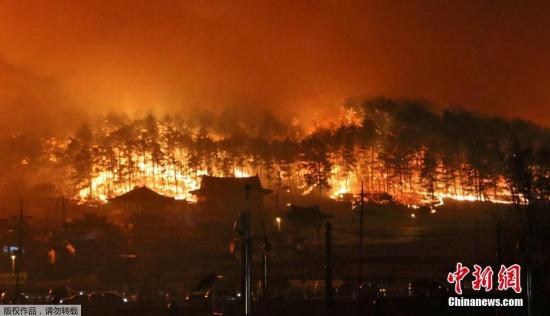 当地时间4月5日，韩国森林大火火光冲天。据报道，当地时间4日，韩国东北部江原道高城发生森林大火，在强风助长下，火势延烧250公顷，造成1人死亡、10多人受伤、4011人疏散避难，125栋房屋烧毁。