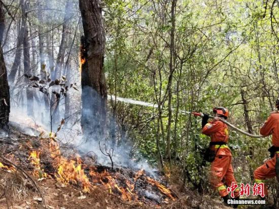 图为攀枝花森林消防队员用水泵扑救林火。 李丛林 摄